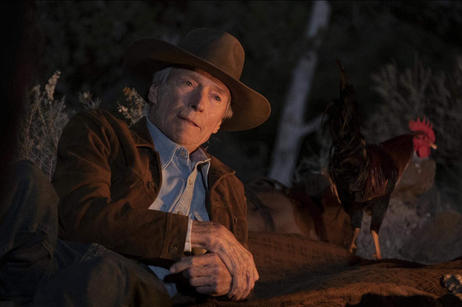 Trailer for Clint Eastwood's 'Cry Macho' Released